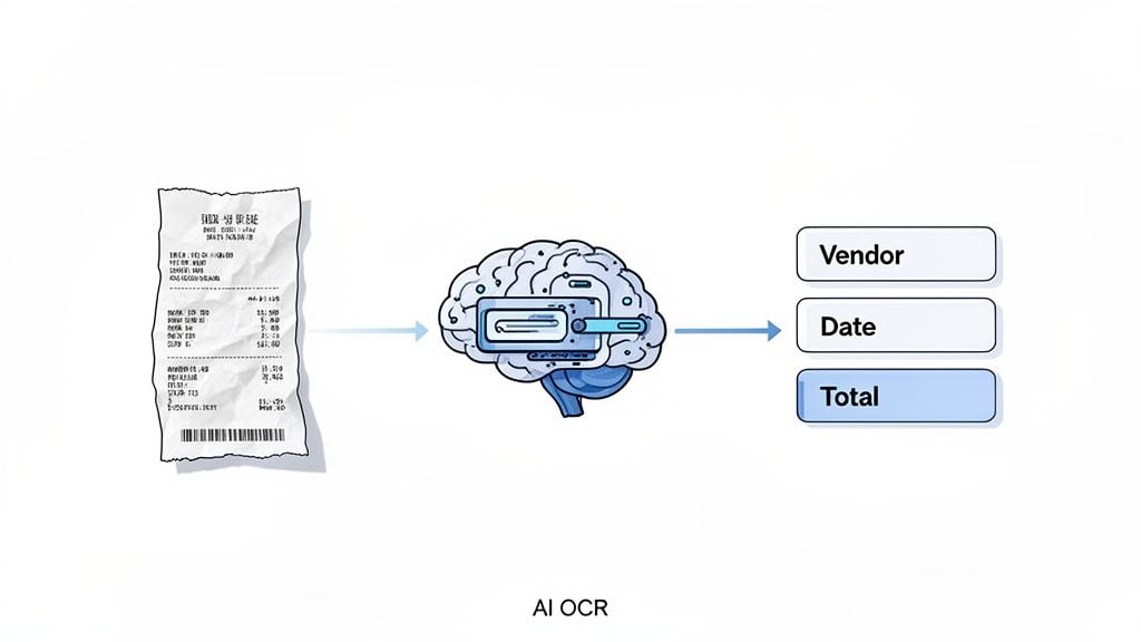 An AI OCR system processes a paper receipt, extracting key details like vendor, date, and total amount.